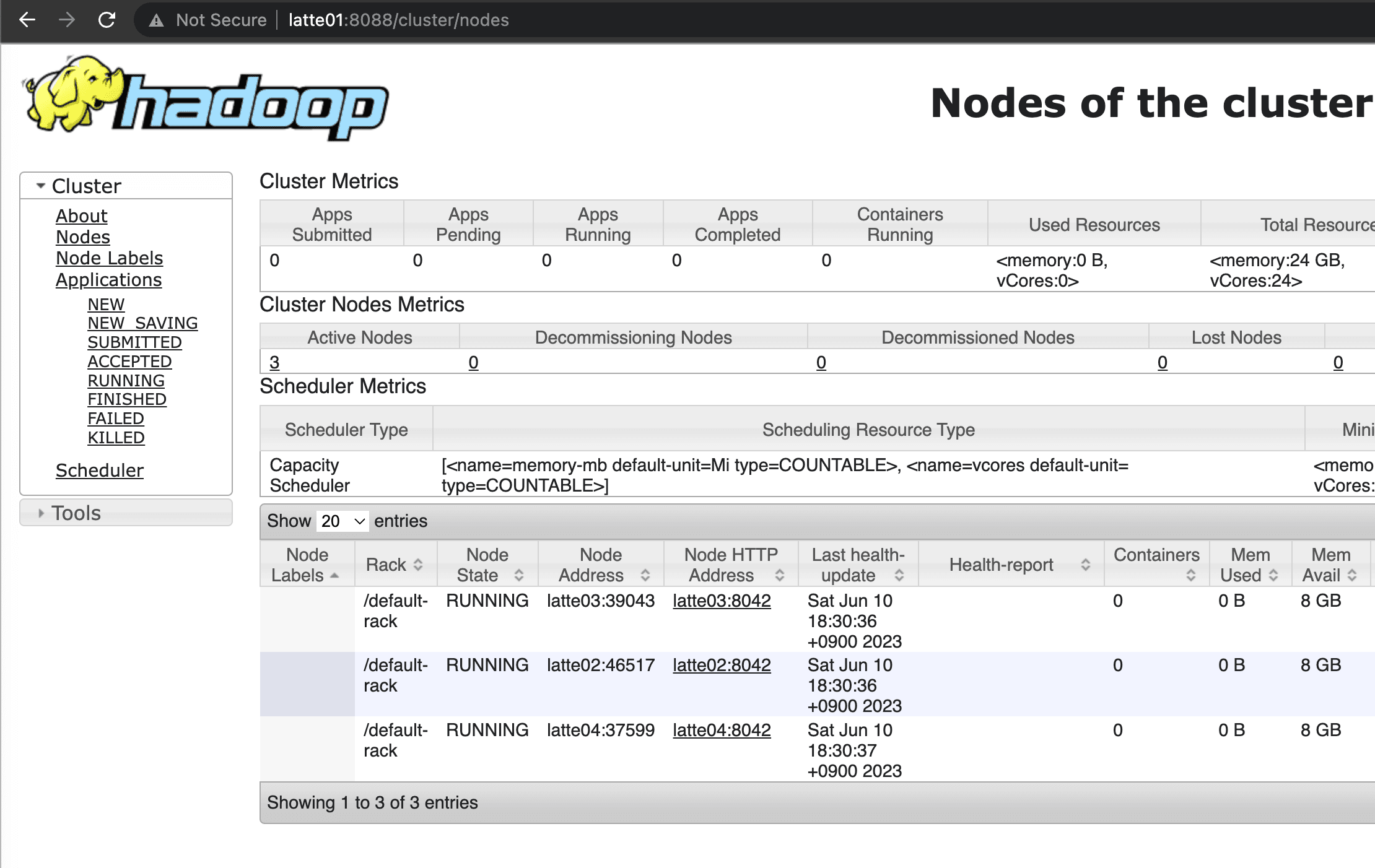 Resource Manager Web UI